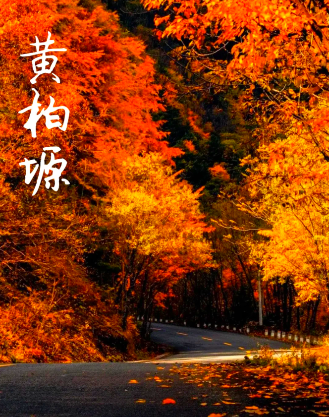  核桃坪原始森林景区简介